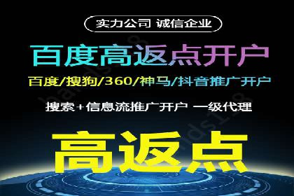 某某sem代运营公司：精准投放的背后策略